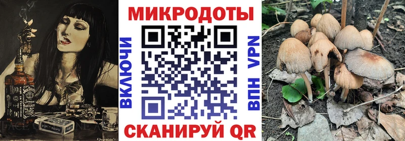 Псилоцибиновые грибы Psilocybe  Керчь 